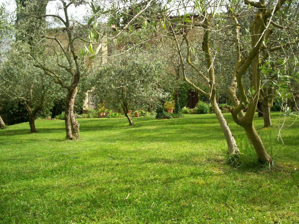 Podere Il Caggio Rooms San Gimignano Exterior foto